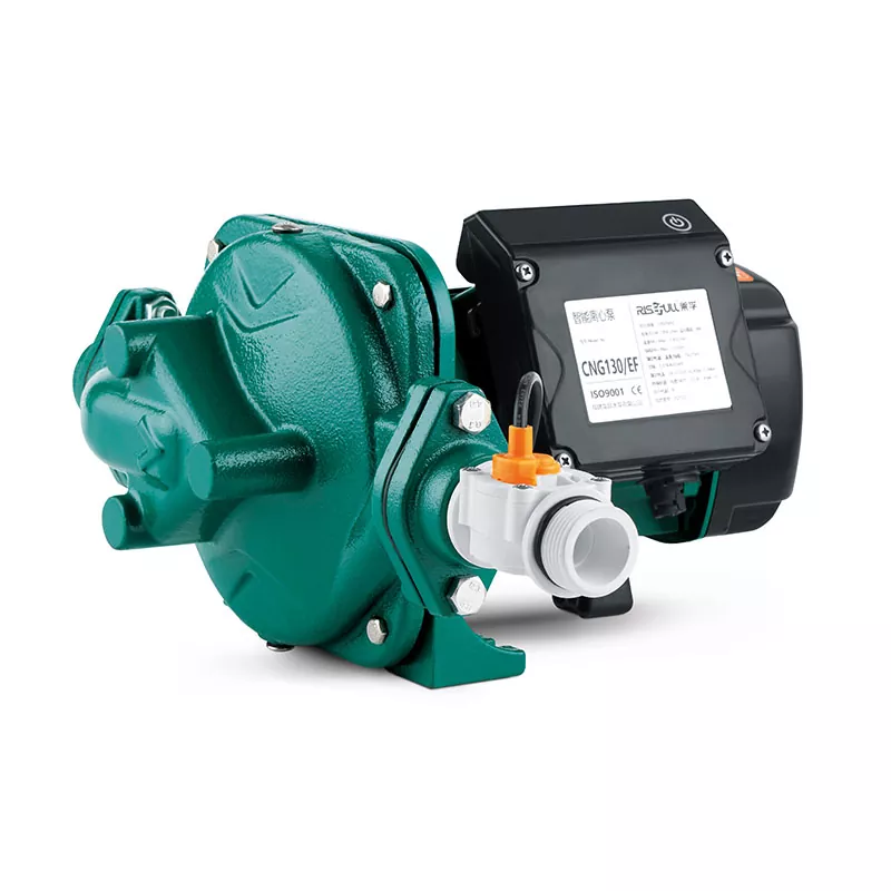 Smart In-line Water Pump